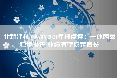 北新建材(000786)2024年报点评：一体两翼稳步推进 业绩有望稳定增长