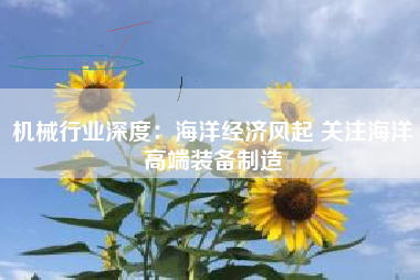 机械行业深度：海洋经济风起 关注海洋高端装备制造