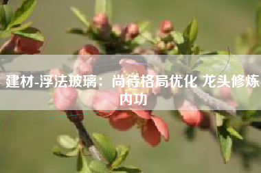 建材-浮法玻璃：尚待格局优化 龙头修炼内功