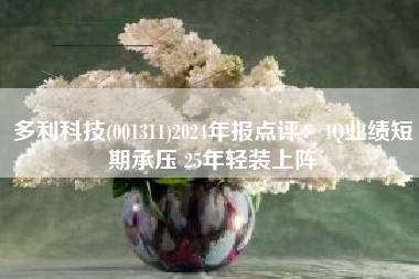 多利科技(001311)2024年报点评：4Q业绩短期承压 25年轻装上阵