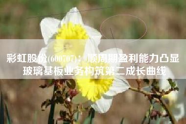 彩虹股份(600707)：顺周期盈利能力凸显 玻璃基板业务构筑第二成长曲线