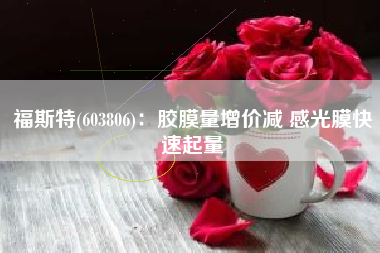 福斯特(603806)：胶膜量增价减 感光膜快速起量