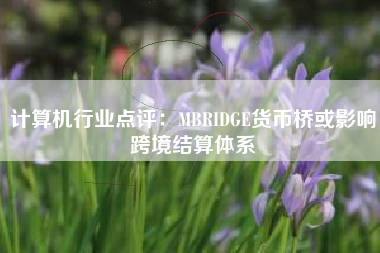 计算机行业点评：MBRIDGE货币桥或影响跨境结算体系
