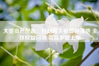 大类资产配置：特朗普关税即将落地 全球权益回调 商品多数上涨