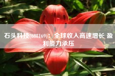 石头科技(688169)：全球收入高速增长 盈利能力承压
