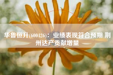 华鲁恒升(600426)：业绩表现符合预期 荆州达产贡献增量