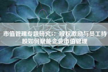 市值管理专题研究5：股权激励与员工持股如何赋能企业市值管理