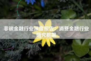 非银金融行业深度报告：消费金融行业研究框架