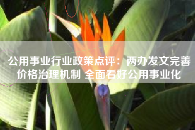 公用事业行业政策点评：两办发文完善价格治理机制 全面看好公用事业化