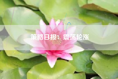 策略日报：震荡轮涨