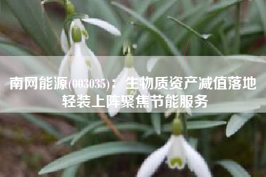 南网能源(003035)：生物质资产减值落地 轻装上阵聚焦节能服务