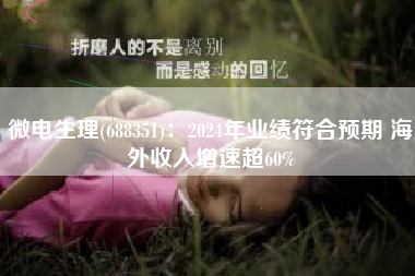 微电生理(688351)：2024年业绩符合预期 海外收入增速超60%