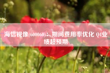 海信视像(600060)：期间费用率优化 Q4业绩超预期