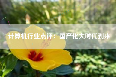 计算机行业点评：国产化大时代到来