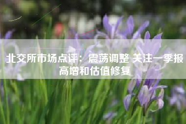 北交所市场点评：震荡调整 关注一季报高增和估值修复