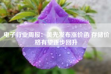 电子行业周报：美光发布涨价函 存储价格有望逐步回升
