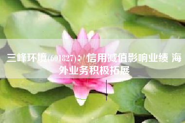 三峰环境(601827)：信用减值影响业绩 海外业务积极拓展