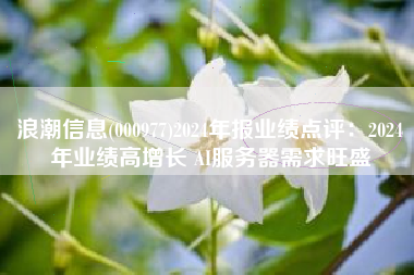 浪潮信息(000977)2024年报业绩点评：2024年业绩高增长 AI服务器需求旺盛