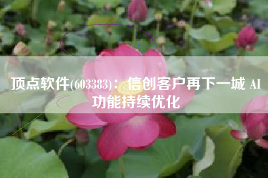 顶点软件(603383)：信创客户再下一城 AI功能持续优化