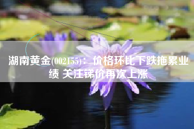 湖南黄金(002155)：价格环比下跌拖累业绩 关注锑价再次上涨