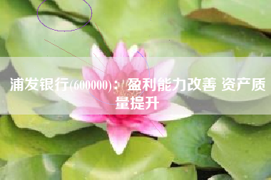 浦发银行(600000)：盈利能力改善 资产质量提升