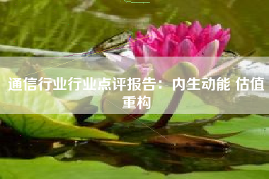 通信行业行业点评报告：内生动能 估值重构