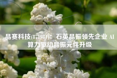 晶赛科技(871981)：石英晶振领先企业 AI算力驱动晶振元件升级