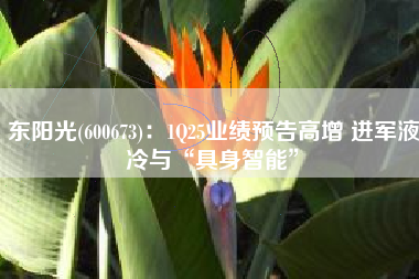 东阳光(600673)：1Q25业绩预告高增 进军液冷与“具身智能”