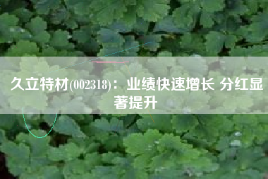 久立特材(002318)：业绩快速增长 分红显著提升