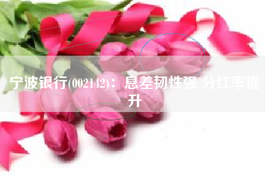 宁波银行(002142)：息差韧性强 分红率提升