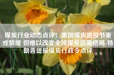煤炭行业动态点评：美国煤炭退役节奏或放缓 但难以改变全球煤炭供需格局-特朗普提振煤炭行政令点评
