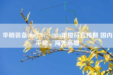 华明装备(002270)：2024年报符合预期 国内平稳、海外高增