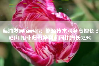 海油发展(600968)：能源技术服务高增长 2024年扣非归母净利润同比增长32.9%