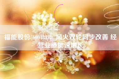 福能股份(600483)：风火双轮同步改善 经营业绩加速增长