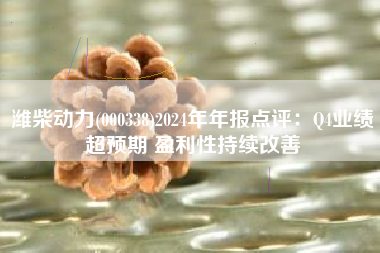 潍柴动力(000338)2024年年报点评：Q4业绩超预期 盈利性持续改善