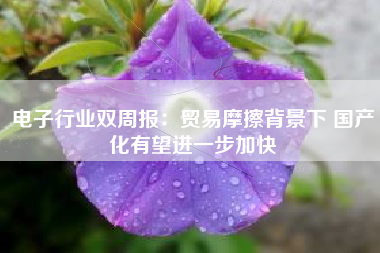 电子行业双周报：贸易摩擦背景下 国产化有望进一步加快