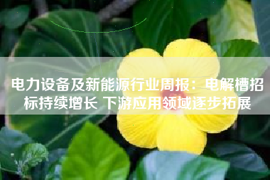 电力设备及新能源行业周报：电解槽招标持续增长 下游应用领域逐步拓展