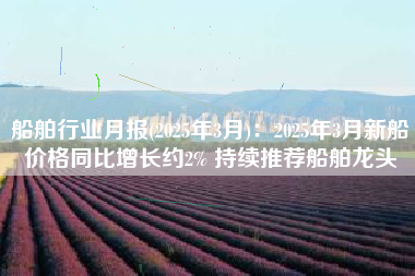 船舶行业月报(2025年3月)：2025年3月新船价格同比增长约2% 持续推荐船舶龙头