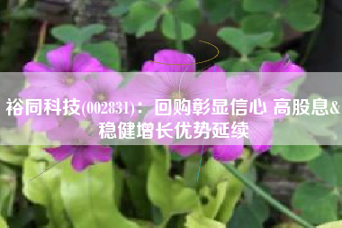 裕同科技(002831)：回购彰显信心 高股息&稳健增长优势延续