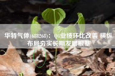 华特气体(688268)：Q4业绩环比改善 横纵布局夯实长期发展根基