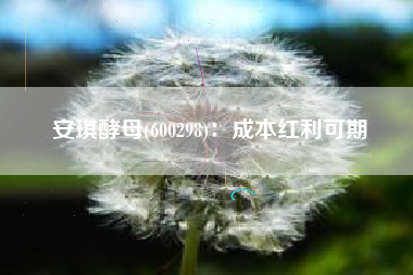 安琪酵母(600298)：成本红利可期