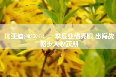 比亚迪(002594)：一季度业绩亮眼 出海战略步入收获期