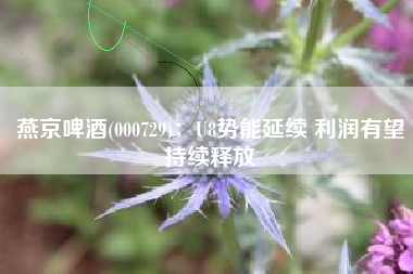 燕京啤酒(000729)：U8势能延续 利润有望持续释放