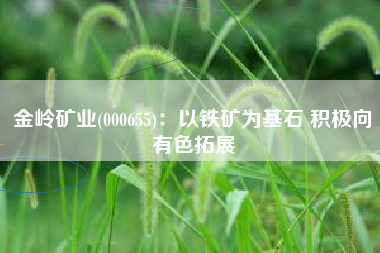 金岭矿业(000655)：以铁矿为基石 积极向有色拓展