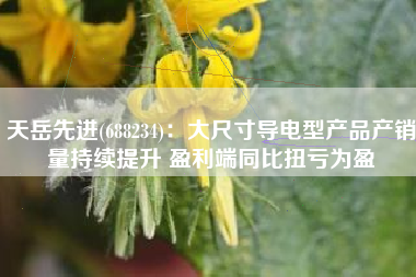 天岳先进(688234)：大尺寸导电型产品产销量持续提升 盈利端同比扭亏为盈
