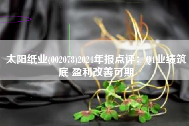 太阳纸业(002078)2024年报点评：Q4业绩筑底 盈利改善可期