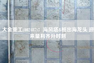 大金重工(002487)：海风塔&桩出海龙头 迎来量利齐升时刻