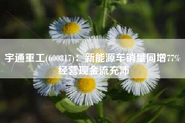 宇通重工(600817)：新能源车销量同增77% 经营现金流充沛