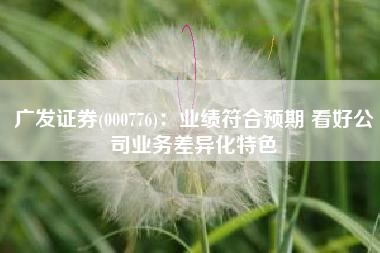 广发证券(000776)：业绩符合预期 看好公司业务差异化特色