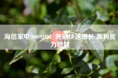 海信家电(000921)：外销快速增长 盈利能力稳健